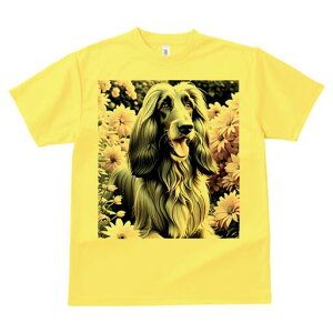 AtKnEh TVc fB[X t@  t  vg JWA 킢 lԗp h ̃fUC ʔ  AtKnEh