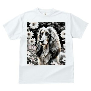 AtKnEh TVc fB[X t@  t  vg JWA 킢 lԗp h ̃fUC ʔ  AtKnEh A