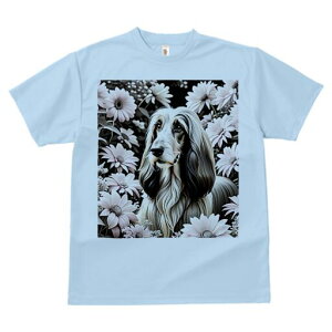 AtKnEh TVc fB[X t@  t  vg JWA 킢 lԗp h ̃fUC ʔ  AtKnEh