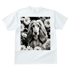 AtKnEh TVc fB[X t@  t  vg JWA 킢 lԗp h ̃fUC ʔ  AtKnEh wi