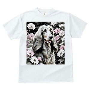 AtKnEh TVc fB[X t@  t  vg JWA 킢 lԗp h ̃fUC ʔ  AtKnEh wi