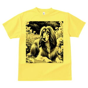 AtKnEh TVc fB[X t@  t  vg JWA 킢 lԗp h ̃fUC ʔ  AtKnEh 