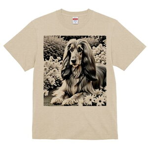 AtKnEh TVc fB[X t@  t  vg JWA 킢 lԗp h ̃fUC ʔ  AtKnEh 