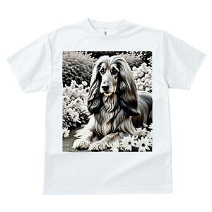 AtKnEh TVc fB[X t@  t  vg JWA 킢 lԗp h ̃fUC ʔ  AtKnEh 