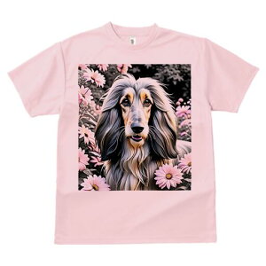 AtKnEh TVc fB[X t@  t  vg JWA 킢 lԗp h ̃fUC ʔ  AtKnEh sN