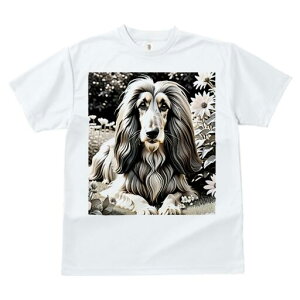 AtKnEh TVc fB[X t@  t  vg JWA 킢 lԗp h ̃fUC ʔ  AtKnEh 