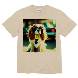 LoA TVc fB[X t@  t  vg JWA 킢 lԗp h ̃fUC ʔ lN^C LoA