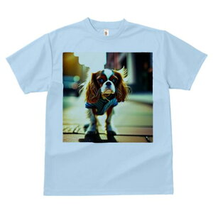 LoA TVc fB[X t@  t  vg JWA 킢 lԗp h ̃fUC ʔ U LoA 