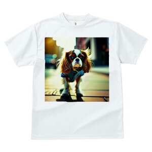 LoA TVc fB[X t@  t  vg JWA 킢 lԗp h ̃fUC ʔ U LoA 