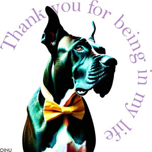 lN^C O[gf[ NbVJo[ 45×45cm Aj}   NbV{̕t ` t@