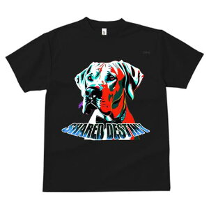 O[gf[ TVc fB[X t@  t  vg JWA 킢 lԗp h ̃fUC ʔ  O[gf[ ybg  lN^C