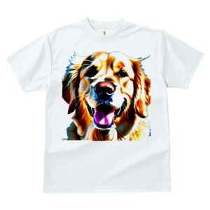 S[fgo[ TVc fB[X t@  t  vg JWA 킢 lԗp h ̃fUC ʔ S[fgo[