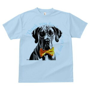 O[gf[ TVc Y LbY t@  t  vg JWA 킢 lԗp h ̃fUC ʔ Kl O[gf[ lN^C