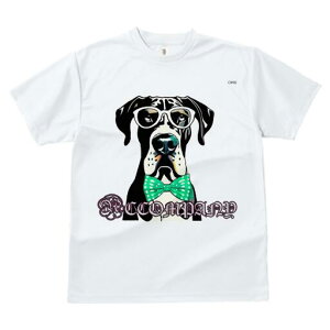 O[gf[ TVc Y LbY t@  t  vg JWA 킢 lԗp h ̃fUC ʔ Kl O[gf[ lN^C