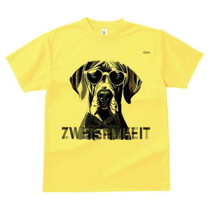 O[gf[ TVc fB[X t@  t  vg JWA 킢 lԗp h ̃fUC ʔ TOX O[gf[ lN^C