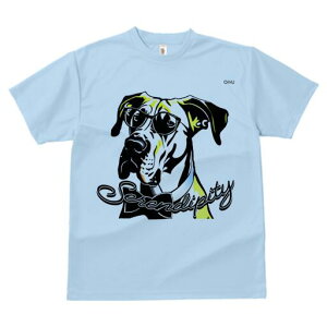 O[gf[ TVc Y LbY t@  t  vg JWA 킢 lԗp h ̃fUC ʔ Kl O[gf[ lN^C