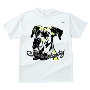 O[gf[ TVc fB[X t@  t  vg JWA 킢 lԗp h ̃fUC ʔ Kl O[gf[ lN^C