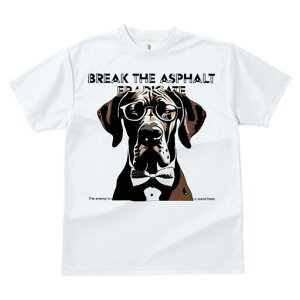 O[gf[ TVc fB[X t@  t  vg JWA 킢 lԗp h ̃fUC ʔ Kl O[gf[ lN^C