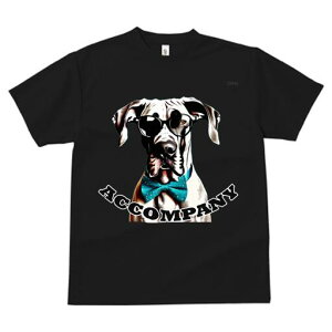 O[gf[ TVc Y LbY t@  t  vg JWA 킢 lԗp h ̃fUC ʔ Kl O[gf[ lN^C