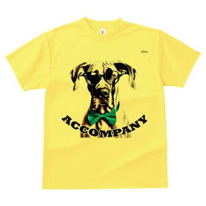 O[gf[ TVc Y LbY t@  t  vg JWA 킢 lԗp h ̃fUC ʔ Kl O[gf[ lN^C