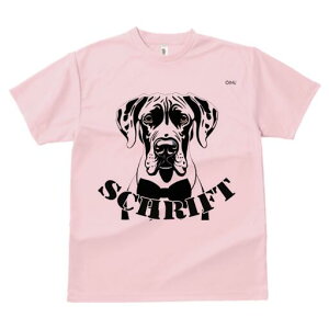 O[gf[ TVc fB[X t@  t  vg JWA 킢 lԗp h ̃fUC ʔ lN^C O[gf[