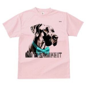 O[gf[ TVc fB[X t@  t  vg JWA 킢 lԗp h ̃fUC ʔ lN^C O[gf[