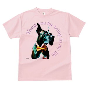 O[gf[ TVc fB[X t@  t  vg JWA 킢 lԗp h ̃fUC ʔ lN^C O[gf[