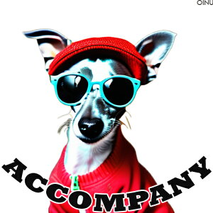 Xq C^AO[nEh TOX  NbVJo[ 45×45cm Aj}   NbV{̕t ` t@