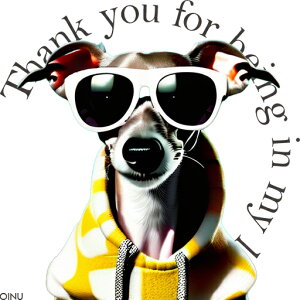 TOX C^AO[nEh p[J[ NbVJo[ 45×45cm Aj}   NbV{̕t ` t@