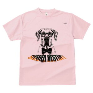 O[gf[ TVc Y LbY t@  t  vg JWA 킢 lԗp h ̃fUC ʔ Kl O[gf[ lN^C