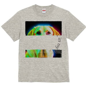 S[fgo[ TVc fB[X t@  t  vg JWA 킢 lԗp h ̃fUC ʔ S[fgo[