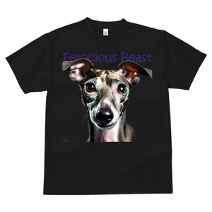 C^AO[nEh TVc fB[X t@  t  vg JWA 킢 lԗp h ̃fUC ʔ C^AO[nEh