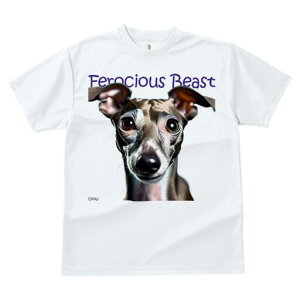 C^AO[nEh TVc fB[X t@  t  vg JWA 킢 lԗp h ̃fUC ʔ C^AO[nEh