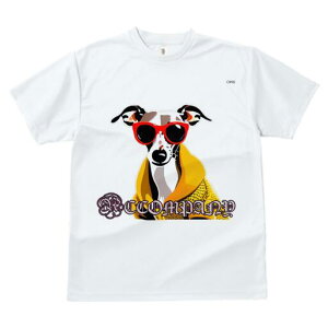 C^AO[nEh TVc fB[X t@  t  vg JWA 킢 lԗp h ̃fUC ʔ TOX C^AO[nEh W