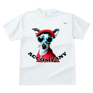 C^AO[nEh TVc fB[X t@  t  vg JWA 킢 lԗp h ̃fUC ʔ Xq C^AO[nEh TOX 