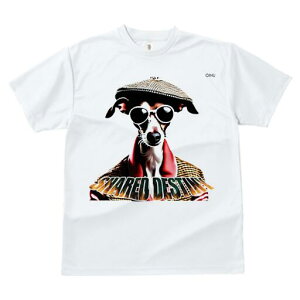 C^AO[nEh TVc fB[X t@  t  vg JWA 킢 lԗp h ̃fUC ʔ Xq C^AO[nEh TOX 