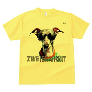 C^AO[nEh TVc fB[X t@  t  vg JWA 킢 lԗp h ̃fUC ʔ TOX C^AO[nEh 