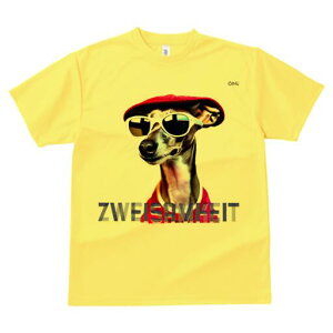 C^AO[nEh TVc fB[X t@  t  vg JWA 킢 lԗp h ̃fUC ʔ TOX C^AO[nEh Xq 