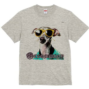 C^AO[nEh TVc fB[X t@  t  vg JWA 킢 lԗp h ̃fUC ʔ TOX C^AO[nEh 