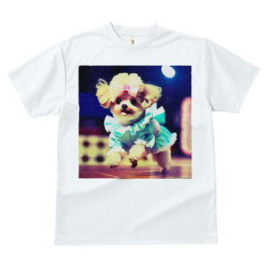 }`[Y TVc fB[X t@  t  vg JWA 킢 lԗp h ̃fUC ʔ hX }`[Y {