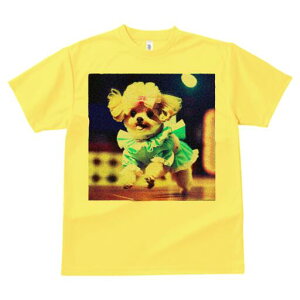 }`[Y TVc fB[X t@  t  vg JWA 킢 lԗp h ̃fUC ʔ hX }`[Y {