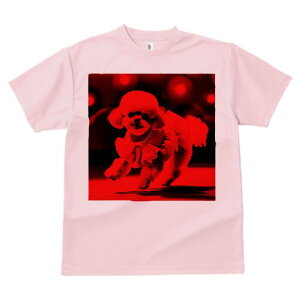 v[h TVc fB[X t@  t  vg JWA 킢 lԗp h ̃fUC ʔ hX v[h 