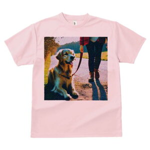 S[fgo[ TVc fB[X t@  t  vg JWA 킢 lԗp h ̃fUC ʔ U S[fgo[ [h H 