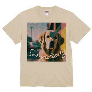 S[fgo[ TVc fB[X t@  t  vg JWA 킢 lԗp h ̃fUC ʔ S[fgo[