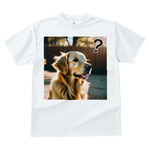 S[fgo[ TVc fB[X t@  t  vg JWA 킢 lԗp h ̃fUC ʔ S[fgo[