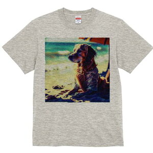 S[fgo[ TVc fB[X t@  t  vg JWA 킢 lԗp h ̃fUC ʔ r[` S[fgo[ C  ][g