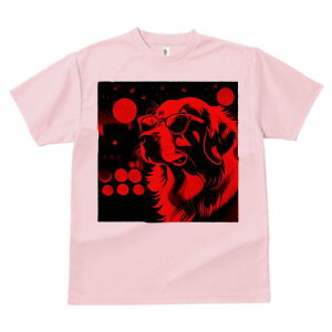 S[fgo[ TVc Y LbY t@  t  vg JWA 킢 lԗp h ̃fUC ʔ Kl S[fgo[ ԐF  