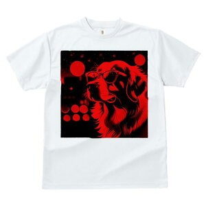 S[fgo[ TVc Y LbY t@  t  vg JWA 킢 lԗp h ̃fUC ʔ Kl S[fgo[ ԐF  