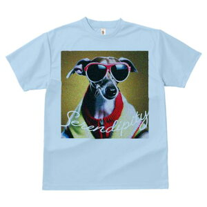 C^AO[nEh TVc fB[X t@  t  vg JWA 킢 lԗp h ̃fUC ʔ TOX C^AO[nEh 