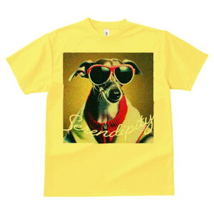 C^AO[nEh TVc fB[X t@  t  vg JWA 킢 lԗp h ̃fUC ʔ TOX C^AO[nEh 